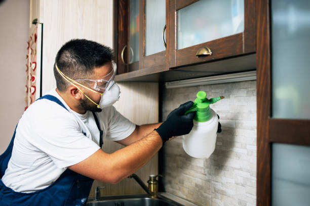 Best Mosquito Control Services  in Blacksburg, VA