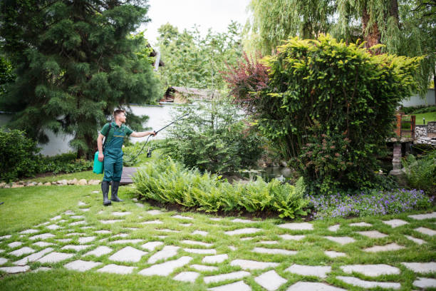 Best Best Pest Control Companies  in Blacksburg, VA
