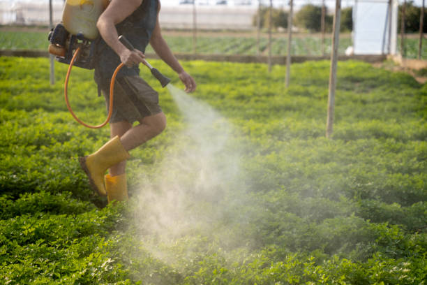 Pest Control Cost in Blacksburg, VA