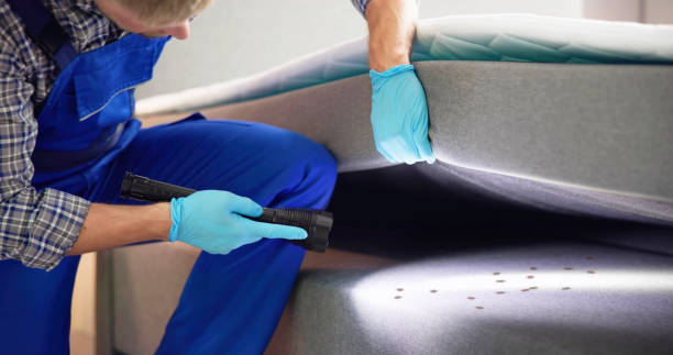 Best Residential Pest Control  in Blacksburg, VA