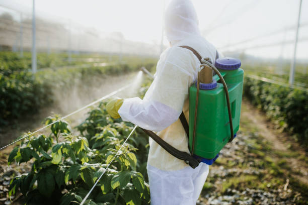 Best Commercial Pest Control Services  in Blacksburg, VA